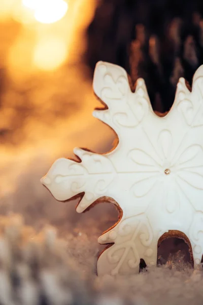 Galleta de jengibre de Navidad — Foto de Stock