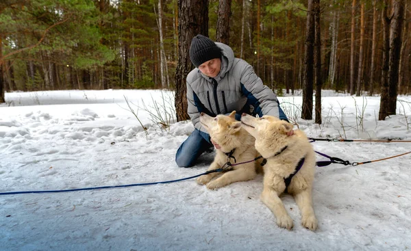 Man Sitter Bredvid Släde Med Sibiriska Huskies Man Stroke Två — Stockfoto