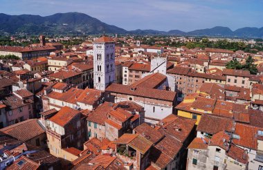 Havadan görünümden Saat Kulesi Lucca, Toskana, İtalya