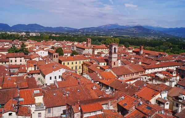 Vista aérea desde la Torre del Reloj de Lucca, Toscana, Italia —  Fotos de Stock