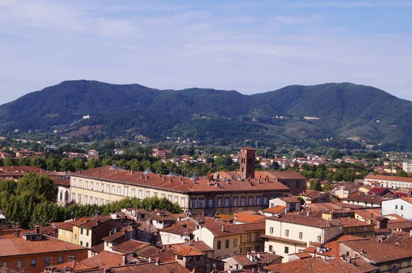 Vue aérienne depuis la Tour de l'Horloge de Lucques, Toscane, Italie — Photo