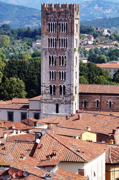 Aerial view from the Clock Tower of Lucca, Tuscany, Italy — Stock Photo, Image