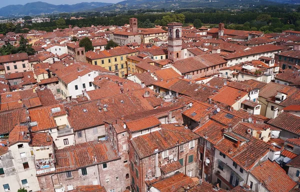 Vue aérienne depuis la Tour de l'Horloge de Lucques, Toscane, Italie — Photo