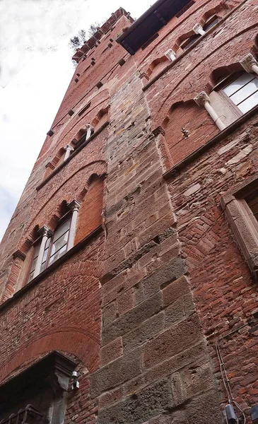 Guinigi Tower, Lucca, Toscana, Itália — Fotografia de Stock