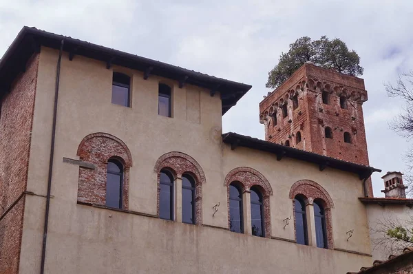 Toren Guinigi, Lucca, Toscane, Italië — Stockfoto