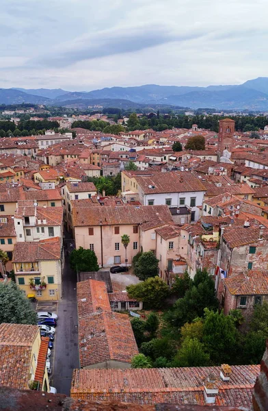 Lucca, Toskana, İtalya'nın Guinigi kuleden havadan görünümü — Ücretsiz Stok Fotoğraf