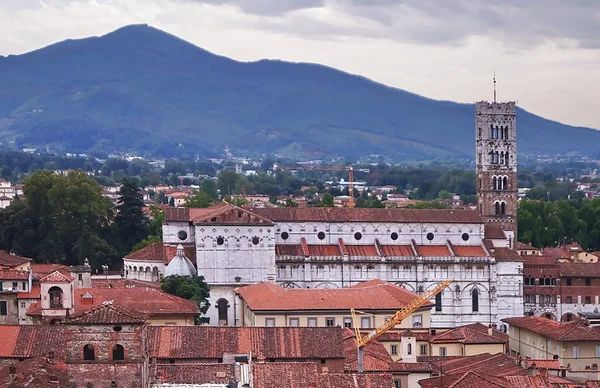 Aerial view from the Guinigi Tower of the cathedral of Lucca, Tuscany, Italy — Stock Photo, Image