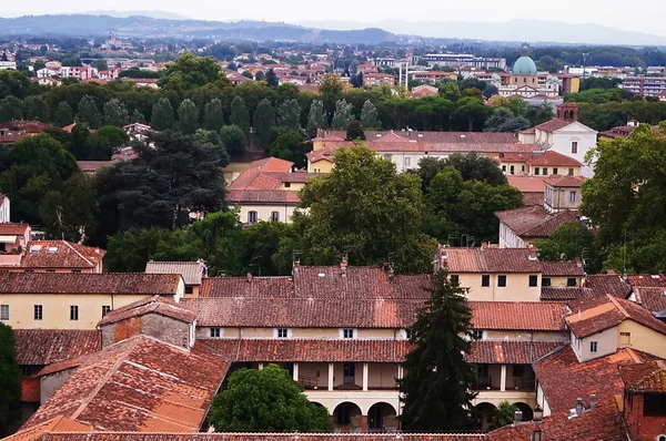 Vista aérea desde la Torre Guinigi de Lucca, Toscana, Italia —  Fotos de Stock