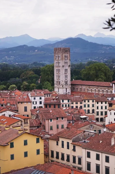 Vista aerea dalla Torre Guinigi di Lucca, Toscana, Italia — Foto Stock