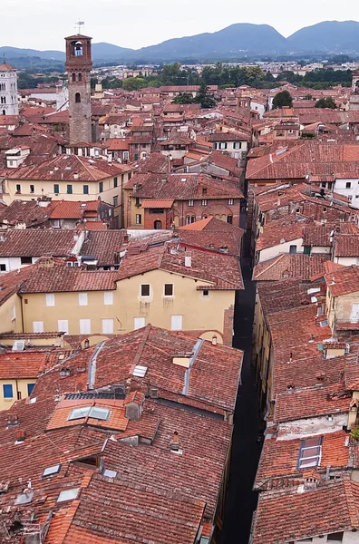 Letecký pohled od Guinigi Tower Lucca, Toskánsko, Itálie — Stock fotografie