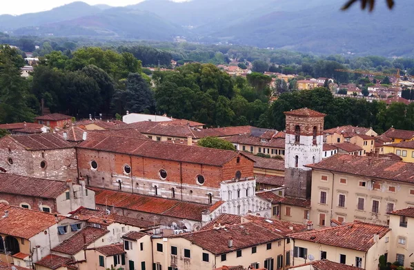 Aerial view from the Guinigi Tower of Lucca, Tuscany, Italy — Stock Photo, Image