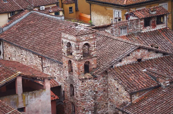 Vista aérea da Torre Guinigi de Lucca, Toscana, Itália — Fotografia de Stock