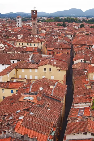 Lucca, Toskana, İtalya'nın Guinigi kuleden havadan görünümü — Ücretsiz Stok Fotoğraf