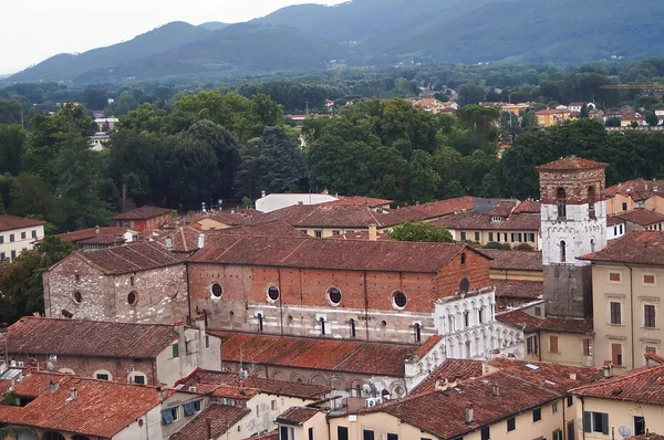 Вид с высоты птичьего полета с башни Guinigi в Лукке, Тоскана, Италия — стоковое фото