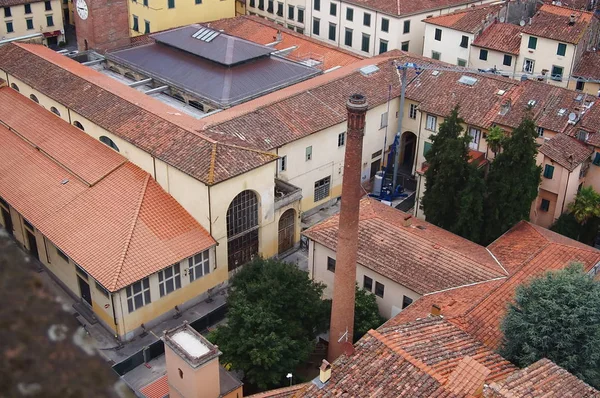Vista aérea desde la Torre Guinigi de Lucca, Toscana, Italia —  Fotos de Stock