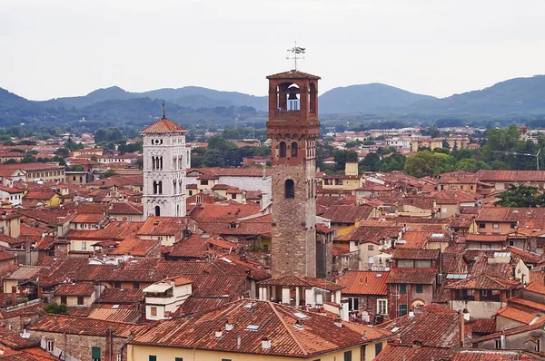 Letecký pohled od Guinigi Tower Lucca, Toskánsko, Itálie — Stock fotografie