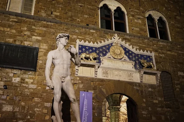 Copia di David di Michelangelo di notte, Firenze — Foto Stock