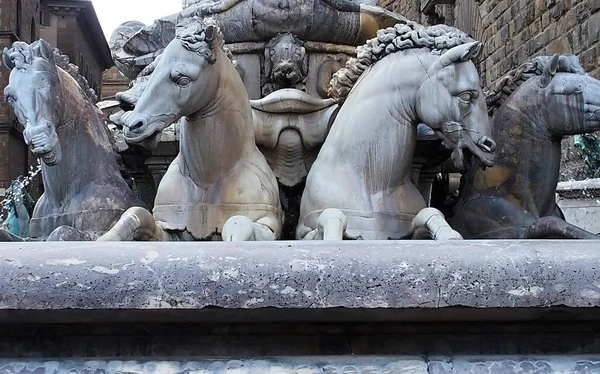 Particolare della fontana di Nettuno in piazza Signoria, Firenze, Toscana — Foto Stock