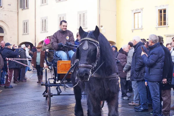 San Giovanni Valdarno Ιταλία 2018 Ιανουαρίου Γιορτή Της Ευλογίας Των — Φωτογραφία Αρχείου