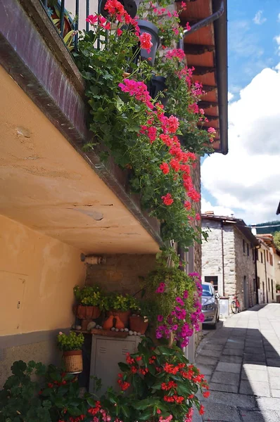 Vista Del Pueblo Moggiona Toscana Italia — Foto de Stock