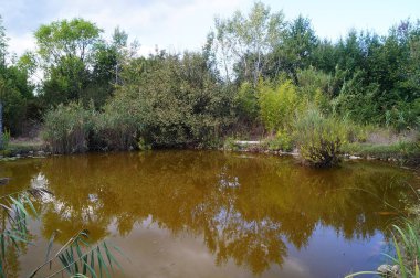 Sesto Fiorentino ovasının parkında gölet, Tuscany, İtalya