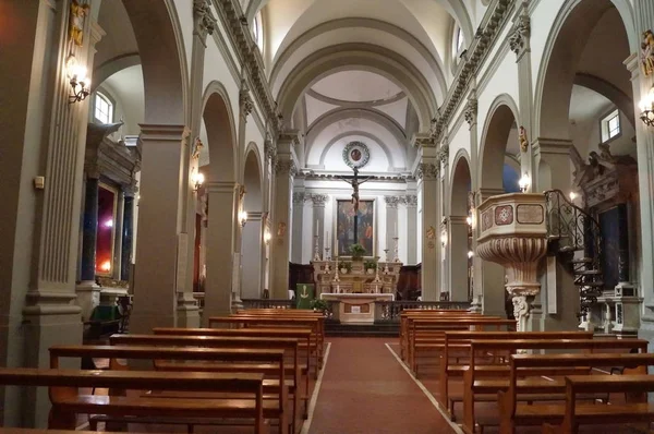 Interno Della Collegiata Dei Santi Stefano Niccolao Pescia Toscana Italia — Foto Stock