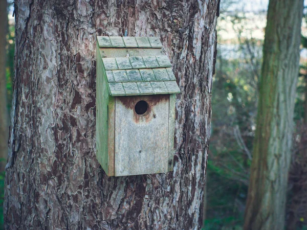 Old wooden bird\'s house hanging nailed on tree trunk in spring.  Concept of caring for animals, helping birds.