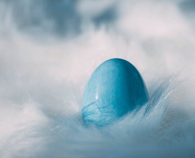 Paskalya yumurtalı Paskalya arkaplanı. Yumuşak odaklanma, bokeh etkisi. Gül rengi Paskalya tebrik kartı şablonunuz kutlu olsun. Kopyalama alanı olan üst görünüm. 