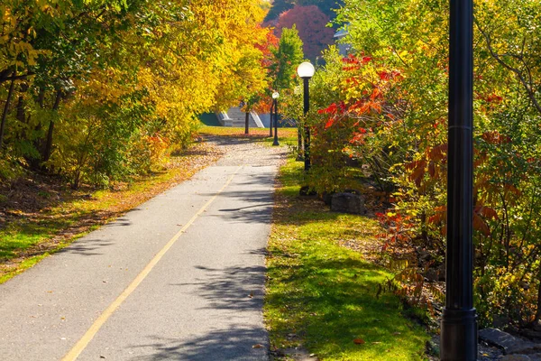 A Two-Lane Bike Path in the Fall