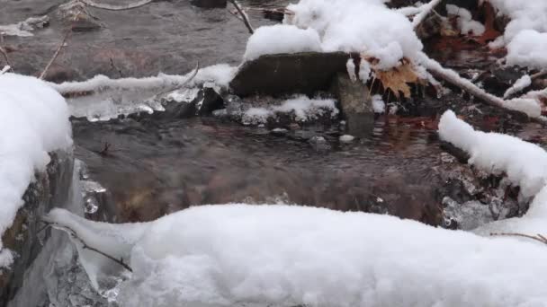 Вода Швидко Йде Струмку Взимку Сніг Лід Покривають Навколишні Скелі — стокове відео