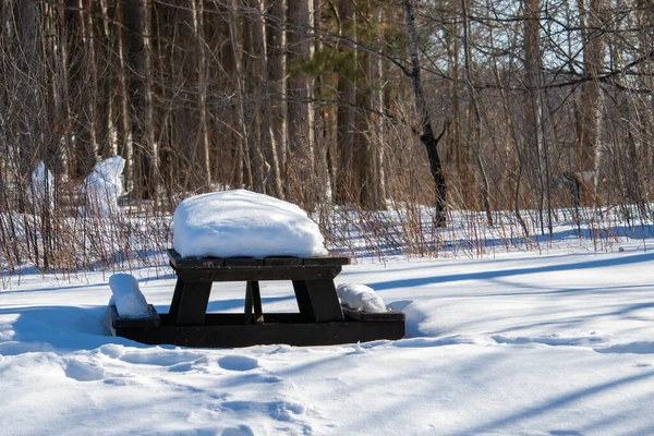 A wooden picnic table is covered in snow in the winter. The area has not been cleared after a snowfall, and a thick layer of snow remains on the table and benches in this public park area.