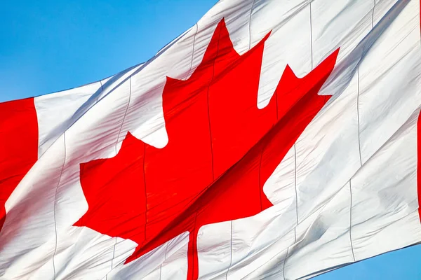 Una Vista Cerca Una Gran Bandera Canadiense Muestra Famoso Símbolo — Foto de Stock