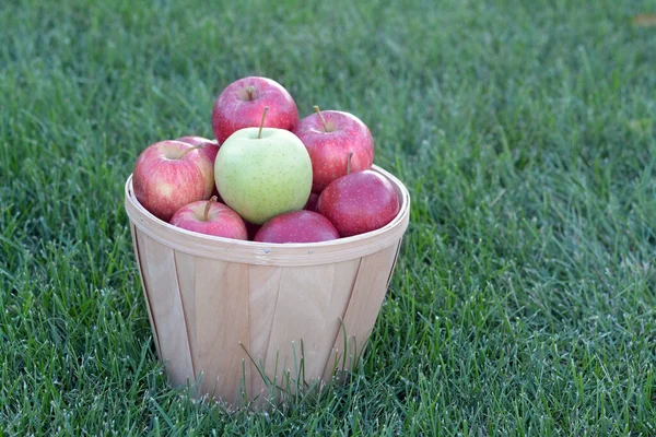 Appel Fruit Emmer Gras — Stockfoto