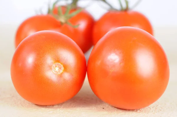 Tomates e videira — Fotografia de Stock