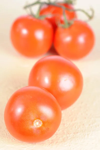 Tomato and vine — 스톡 사진