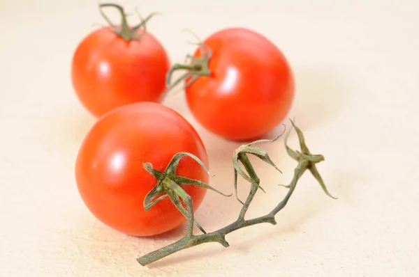 Tomaten — Stockfoto