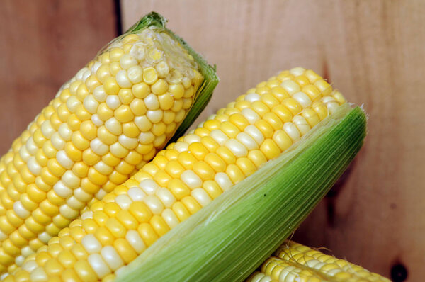 fresh corns