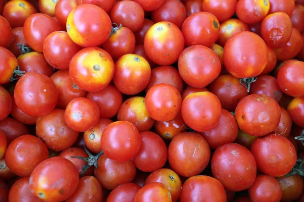 Viele Trauben Tomaten Zum Verkauf Auf Dem Bauernmarkt — Stockfoto