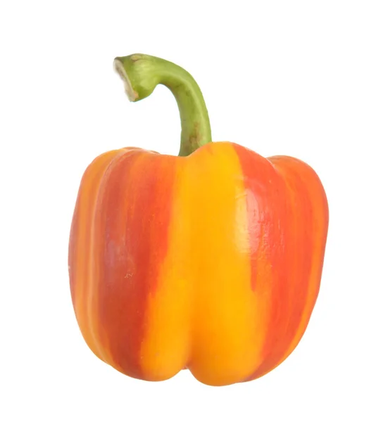 Two Tone Color Bell Pepper Isolated White — Stock Photo, Image