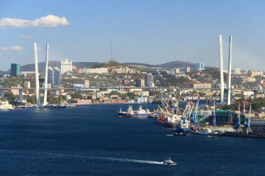 Vladivostok, Rusya - Ekim 05, 2019: Krestovaya tepesinin tepesinden alınan Vladivostok limanı ve kentin merkezi kesiminin panoraması.