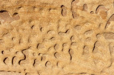 Deniz kıyısındaki sarı ve kahverengi kumtaşı uçurumunun yüzeyi güneşte yıpranmış ve solmuş..