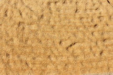 Deniz kıyısındaki sarı ve kahverengi kumtaşı uçurumunun yüzeyi güneşte yıpranmış ve solmuş..