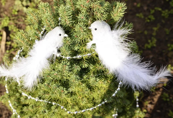 Weihnachten Vor Dem Hintergrund Grüner Wacholderzweige Weißer Ziervögel — Stockfoto