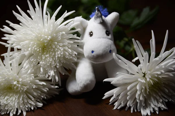 Sobre Fondo Marrón Son Hermosas Flores Crisantemo Blanco Otoño Caballo — Foto de Stock