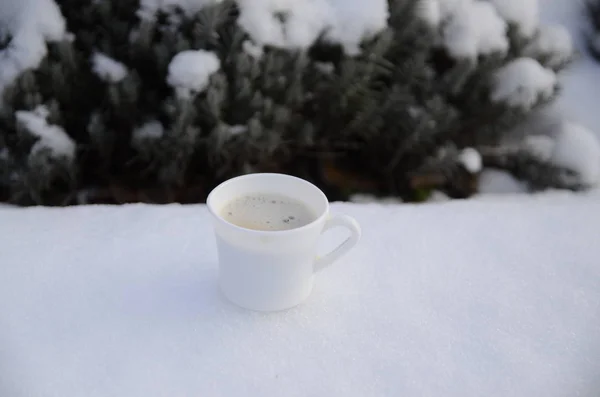 Зима Декабрь Фоне Заснеженного Лавандового Куста Белая Чашка Свежеваренного Ароматного — стоковое фото