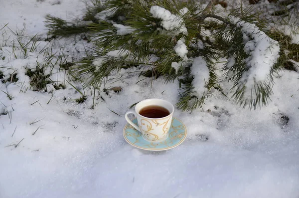 Winter Prosinci Pozadí Jehličnanů Pokrytých Bílým Načechraným Sněhem Šálek Čerstvě Royalty Free Stock Obrázky