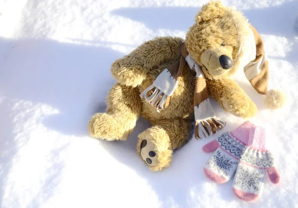 Winter day. The first snow fell. On the ground strewn with white snow sits a funny teddy bear in a hat and scarf.