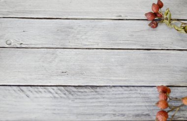 Dokular ve arka planlar. Beyaz boyanmış eski ahşap tahtaların arka planında kurumuş gül kalçası dalları ve taze portakal dilimleri var..