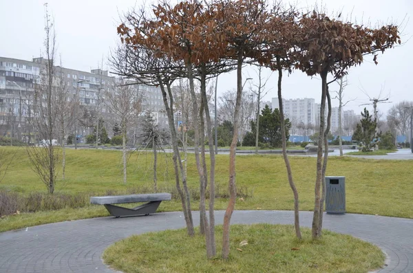 Zona Descanso Parque Día Nublado Árboles Siempreverdes Arbustos Césped Hay —  Fotos de Stock