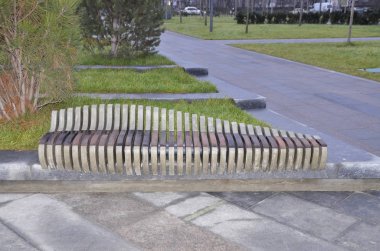 Dinlenme bölgesi. Park, bulutlu bir gün. Evergreen ağaçları, çalılar, çimenler, dinlenmek için banklar var..